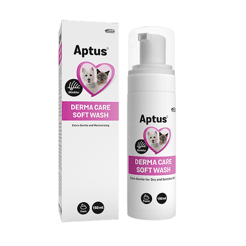 Derma Care Soft Wash - 150 ml