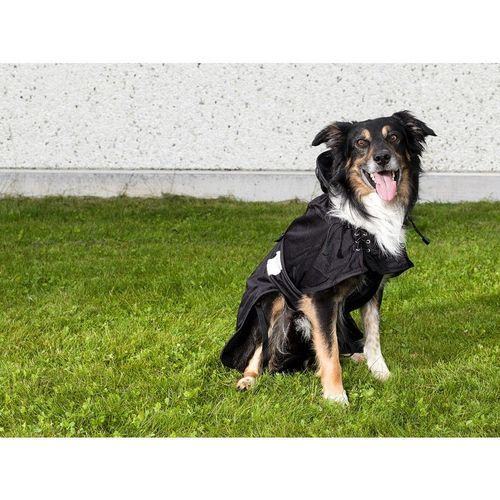 Back on Track Hundnättäcke (86)