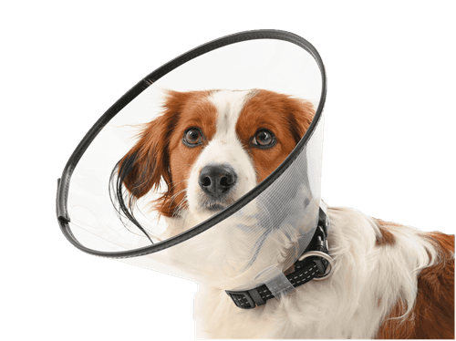 Comfort Collar 7,5 cm