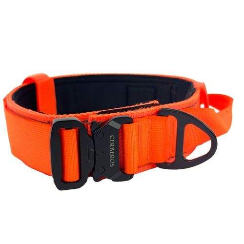 Cerberos Hundhalsband Orange (L)