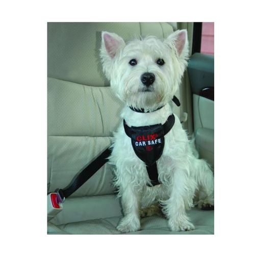 Clix CarSafe Bilsele (M)