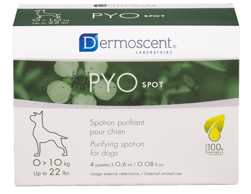 PYOspot® för hund - Small (4 x 0,6 ml)