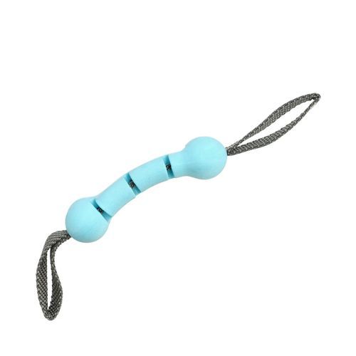 FetchBone Hundleksak Blå