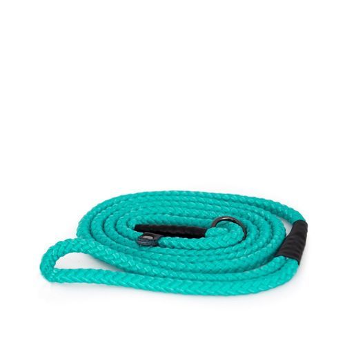 Iris Retrieverkoppel - Turkos