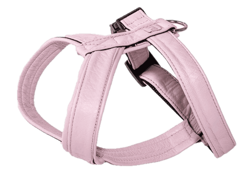 Lädersele Pro Rosa Nr 0