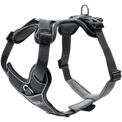 Hundsele Divo Grå/Grå L Bröstmått 72-100cm