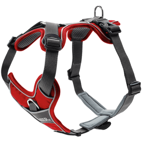 Hundsele Divo Röd/Grå L Bröstmått 72-100cm