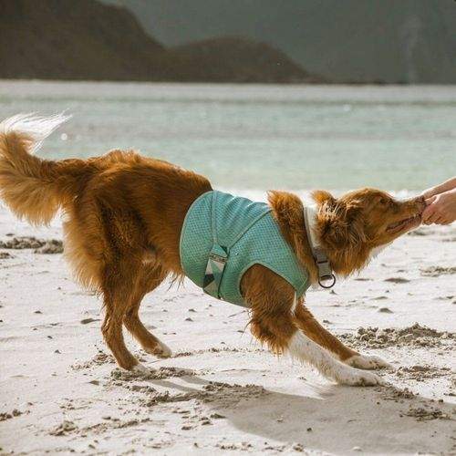 Hurtta Kylväst Ljusblå (55-65 cm)