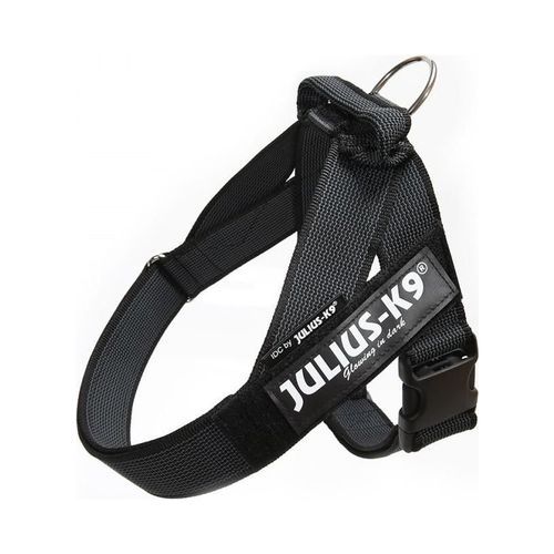 Julius-K9 C&G Sele - Svart / Size: 1