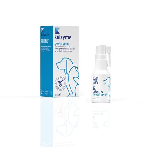 Kalzyme Dental Spray 30 ml