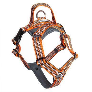 Future Walking Sele Orange - XS