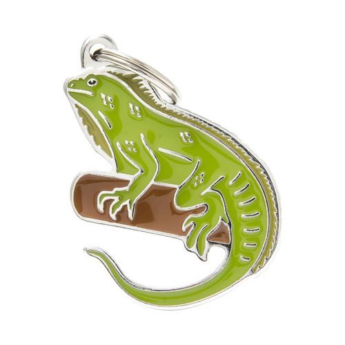 MyFamily Wild - Leguan