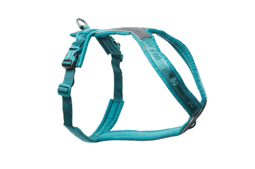 Line harness 5.0 Teal Nr 1