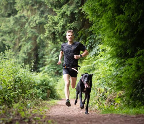 CaniX Belt Löpningsbälte - Large
