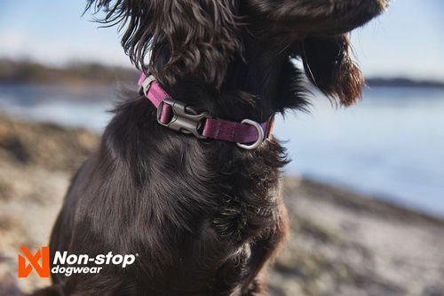 Tumble Collar Valphalsband - XS / Blå