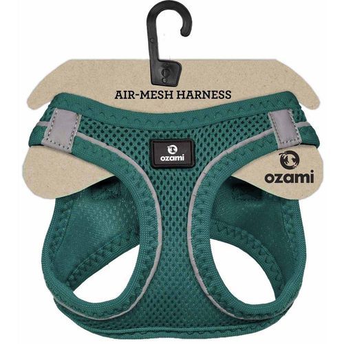 Air Mesh Sele för Hund - L / Turkos