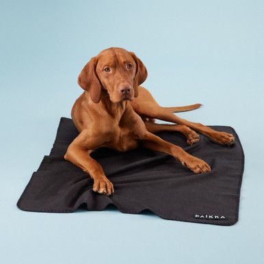 Recovery Blanket för hund - Grå / 70x100cm