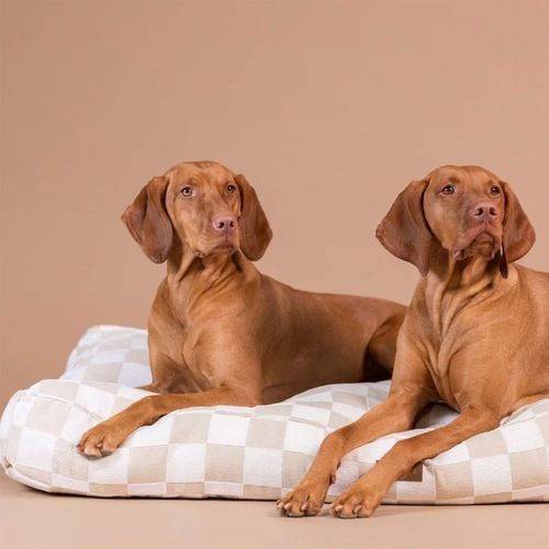 PAIKKA Check Hundmadrass Rutig Beige (M)