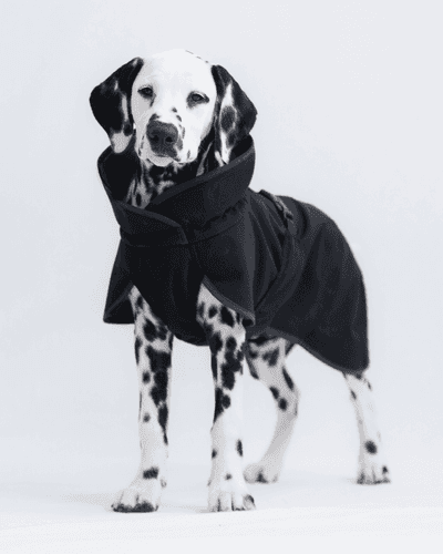 Recovery Softshell Hundjacka Svart - 50