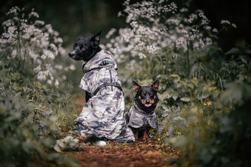Reflekterande Regnjacka Hund, Camo - 45