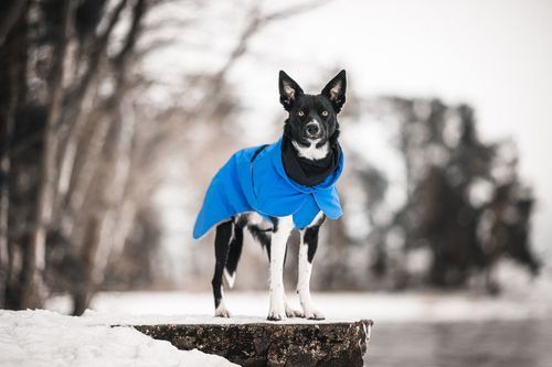 Reflekterande Vintertäcke, Indigo - 60