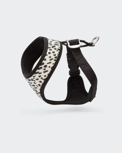 Självlysande Hundsele i Mesh 2.0 - XS