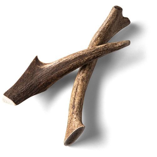 Hjorthorn Rauh Antler M