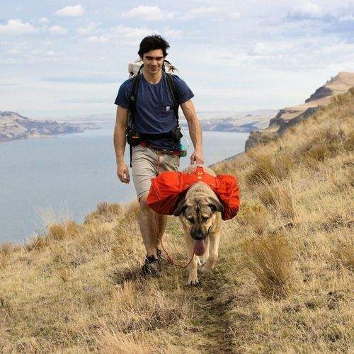 Ruffwear Palisades Klövjeväska Röd (S)