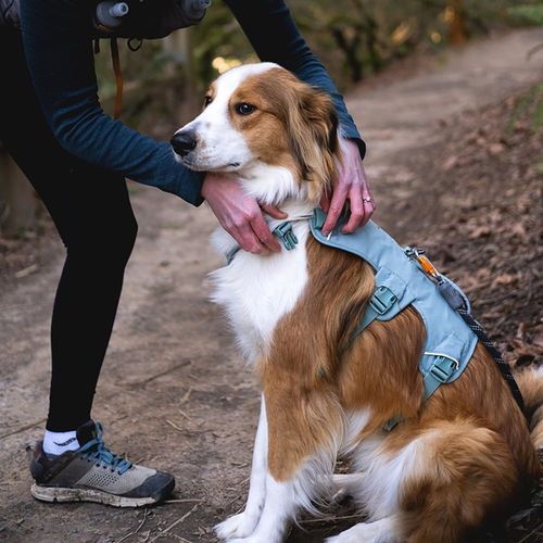 Ruffwear Web Master Hundsele Grön (l/xl)