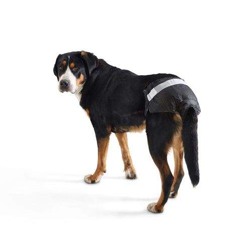 Savic Comfort Nappy Hundblöja 12 st (5)