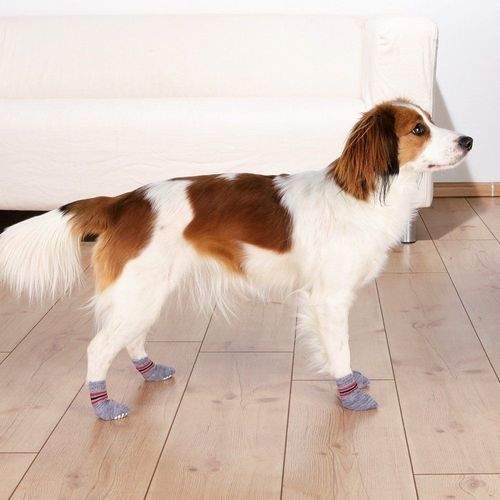 Trixie Hundsockor Non-slip 2-pack (XS-S)