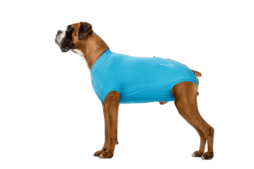 Recovery Suit Blue Hane Nr 12