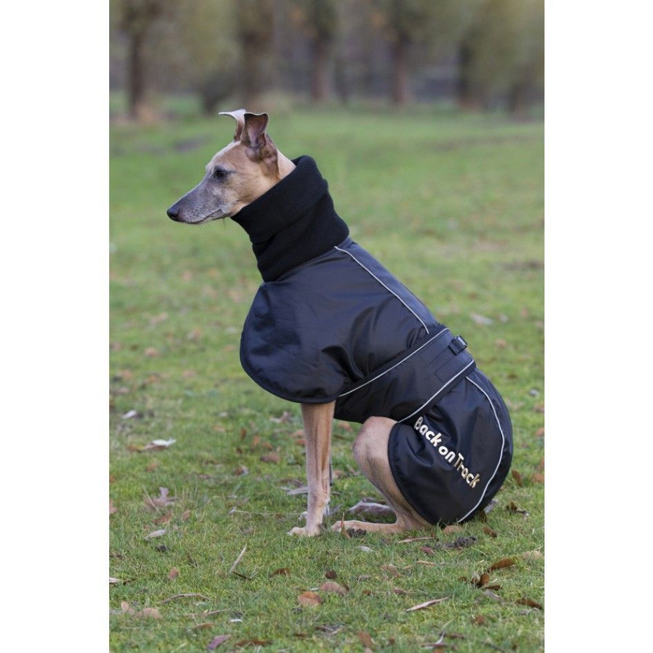 Back on Track Whippet Hundtäcke  (XXL)