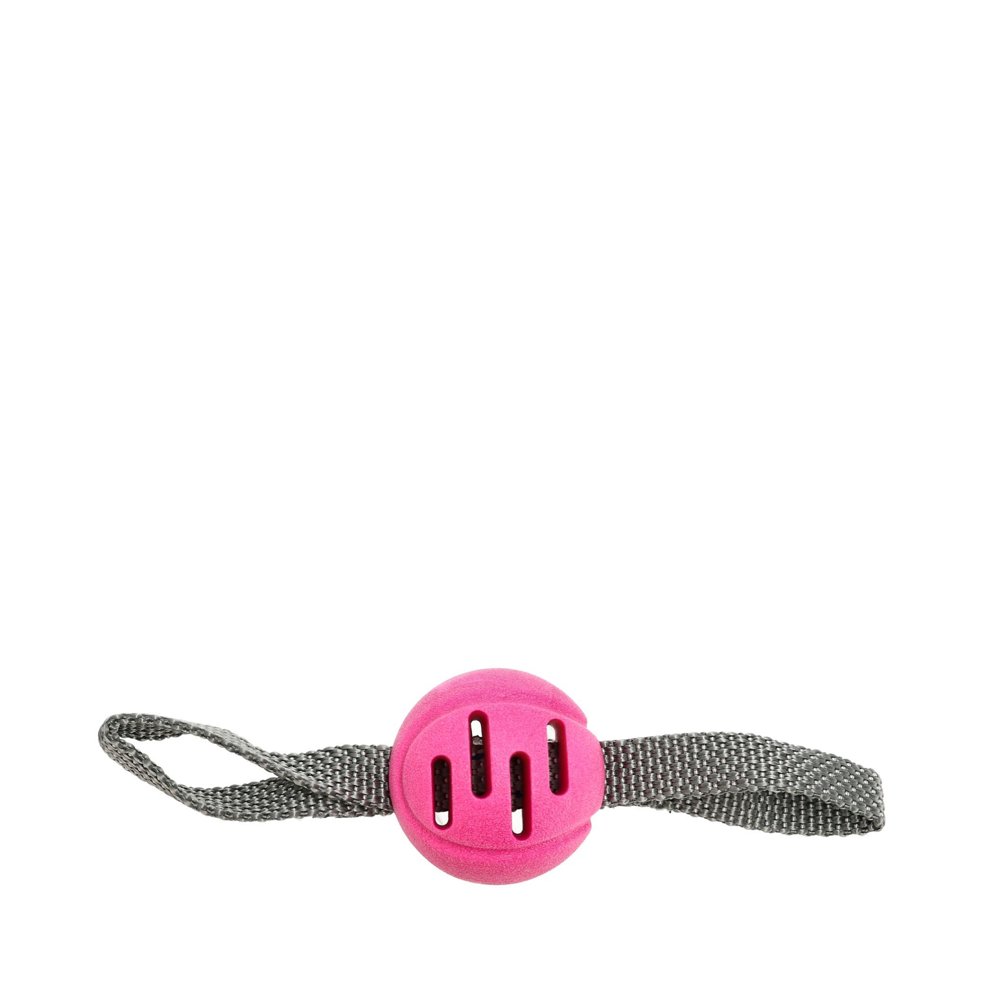 FetchBall Hundleksak Rosa
