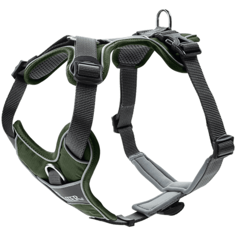 Hundsele Divo Grön/Grå S-M Bröstmått 52-68cm