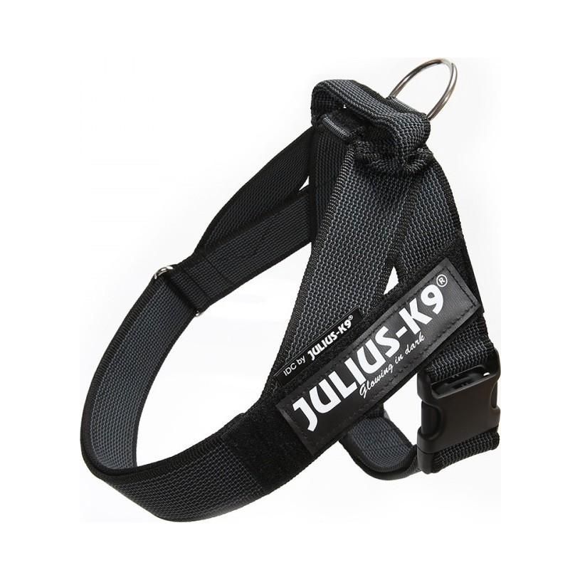 Julius-K9 C&G Sele - Svart / Size: 0