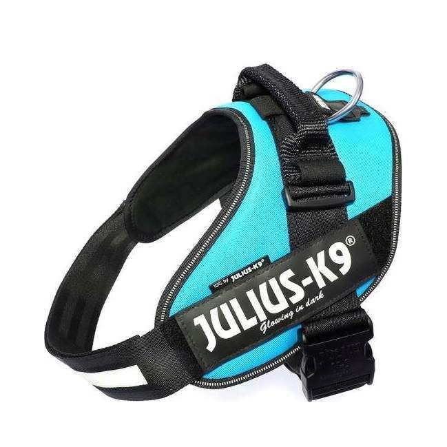 Julius-K9 IDC Sele Aquamarine - Size: 2