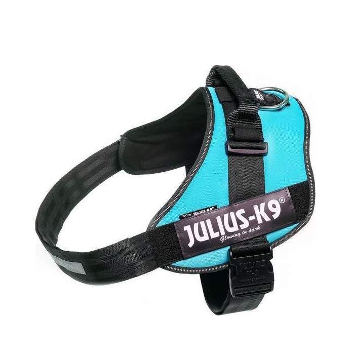 Julius-K9 IDC Sele Aquamarine - Size: 3