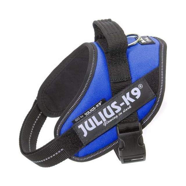 Julius-K9 IDC Sele Blå - Mini