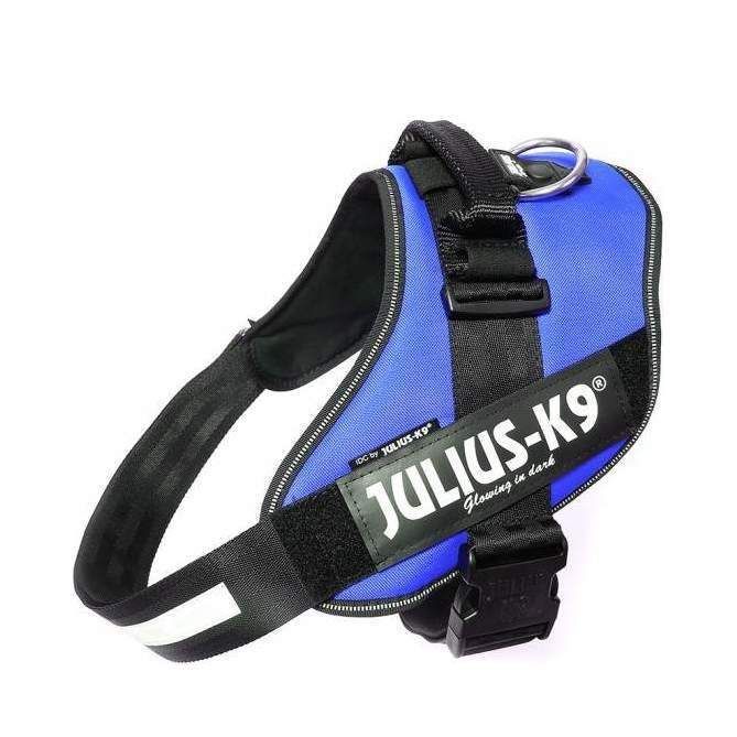 Julius-K9 IDC Sele Blå - Size: 2
