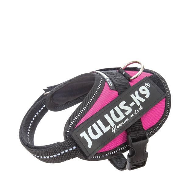 Julius-K9 IDC Sele Cerise - Baby 2