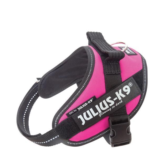 Julius-K9 IDC Sele Cerise - Mini