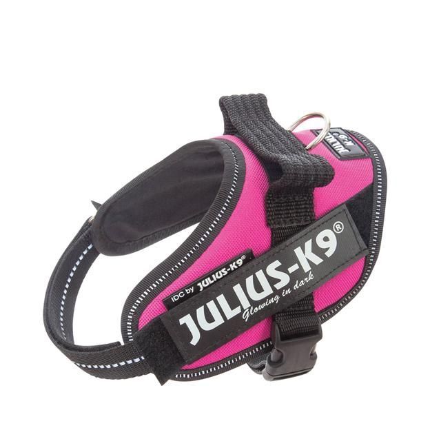 Julius-K9 IDC Sele Cerise - Mini-Mini