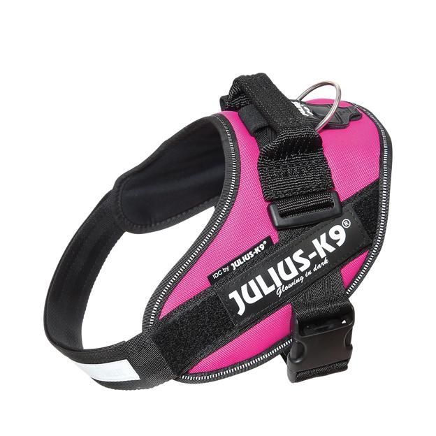 Julius-K9 IDC Sele Cerise - Size: 0