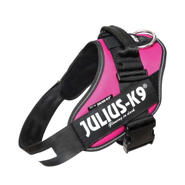 Julius-K9 IDC Sele Cerise - Size: 1