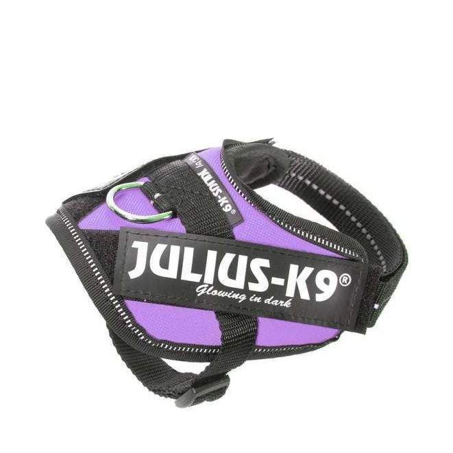 Julius-K9 IDC Sele Lila - Baby 1