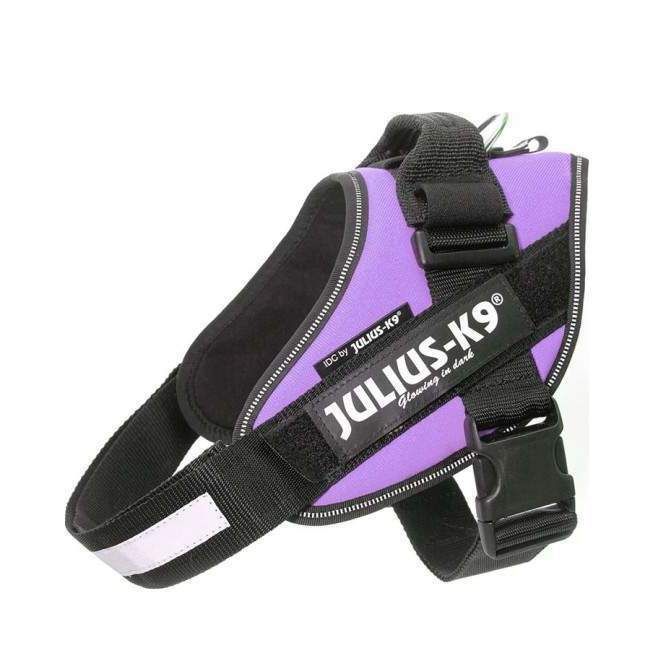 Julius-K9 IDC Sele Lila - Size: 0
