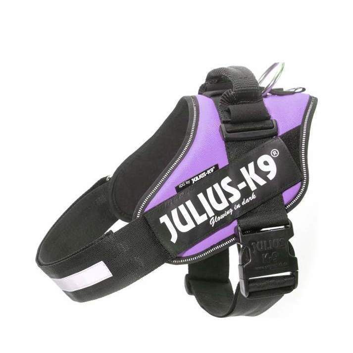 Julius-K9 IDC Sele Lila - Size: 4