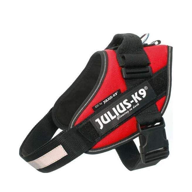 Julius-K9 IDC Sele Röd - Size: 0