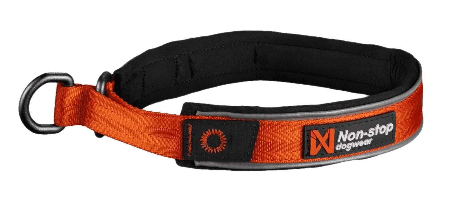 Cruise Collar Orange XL 55cm